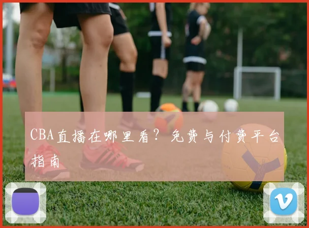 CBA直播在哪里看？免费与付费平台指南