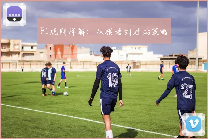 F1规则详解：从旗语到进站策略