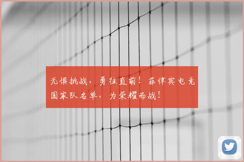 无惧挑战,勇往直前!菲律宾电竞国家队名单,为荣耀而战!